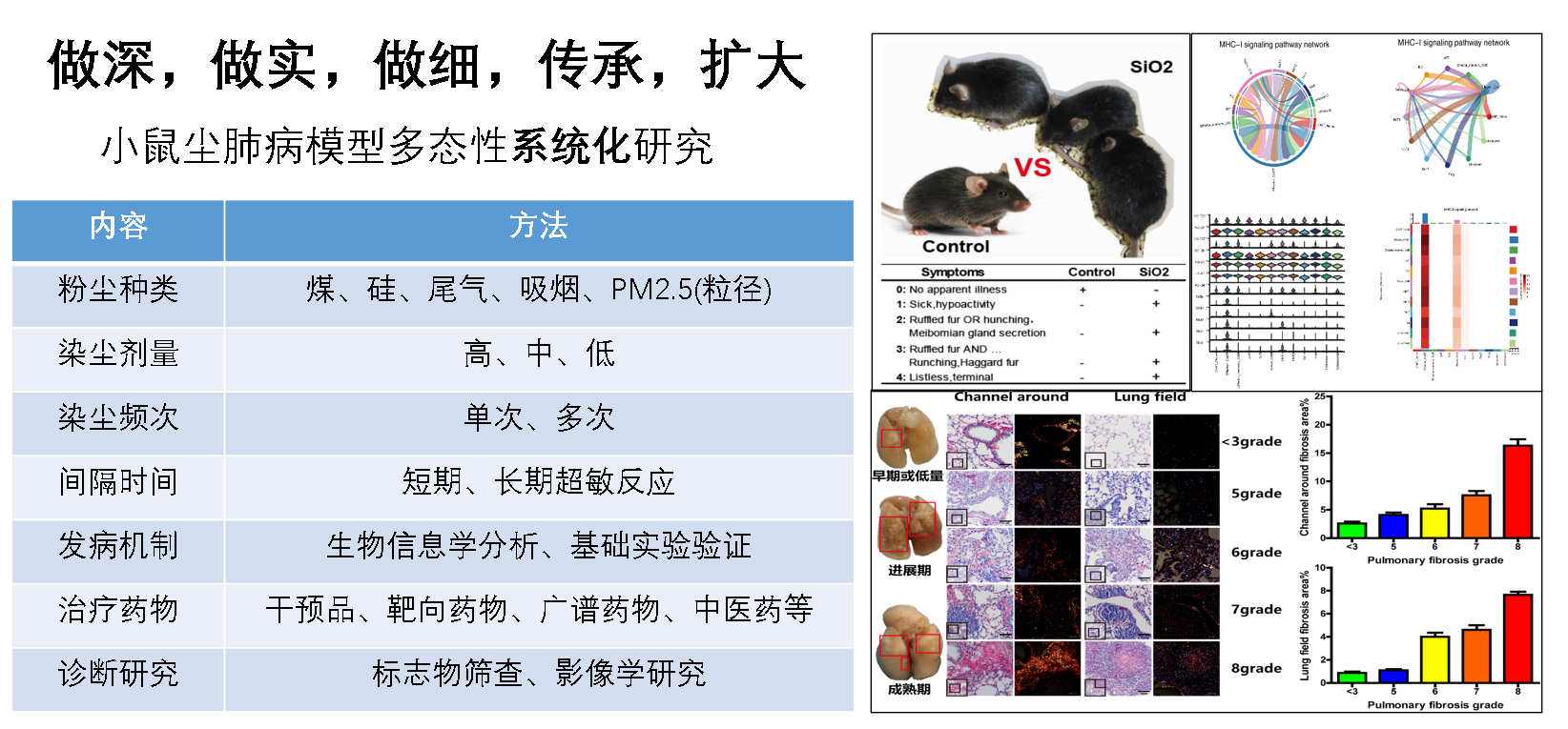 “尘肺一号”小鼠模型，尘肺病攻关一站式解决方案