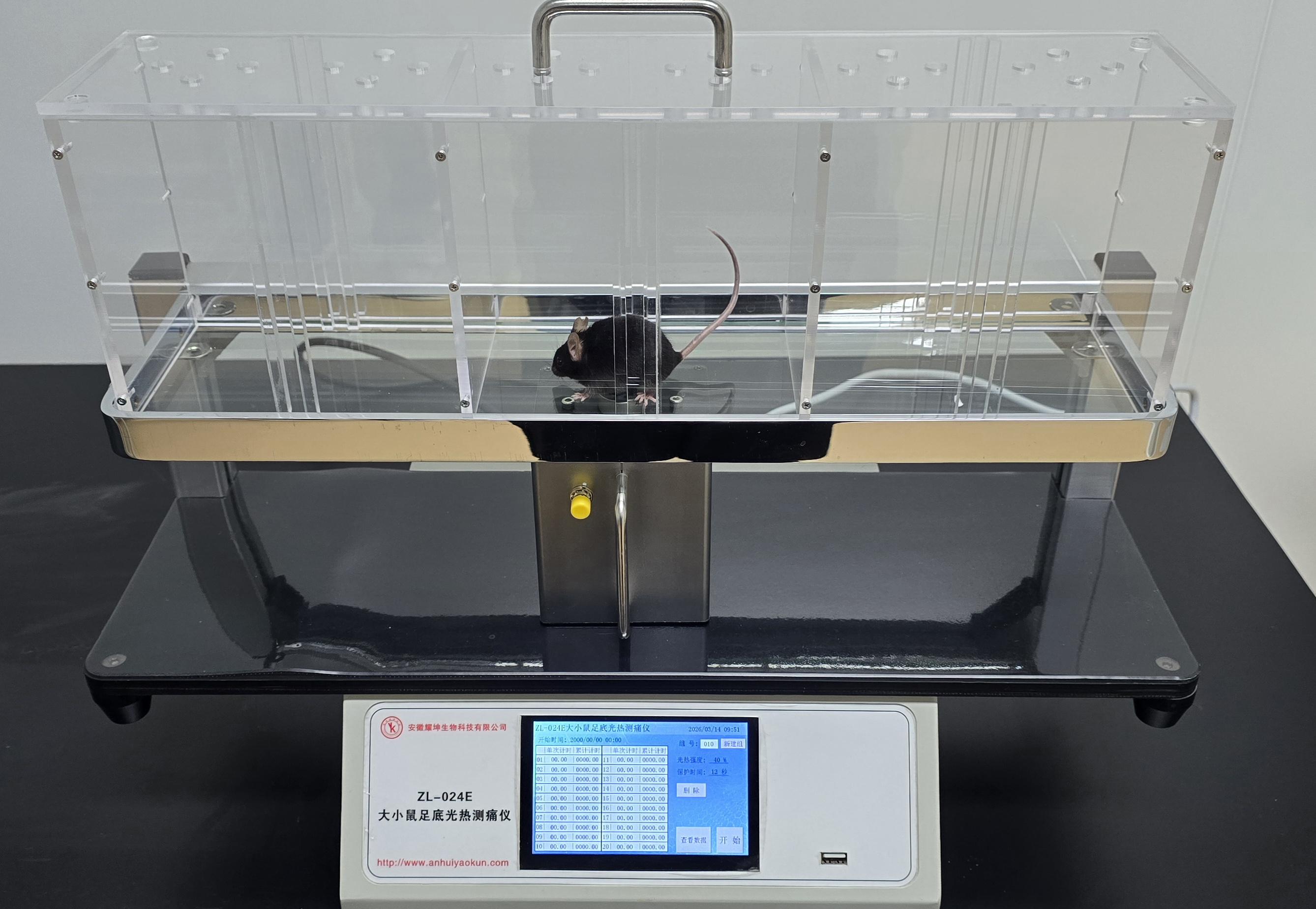 大小鼠足底光热测痛实验