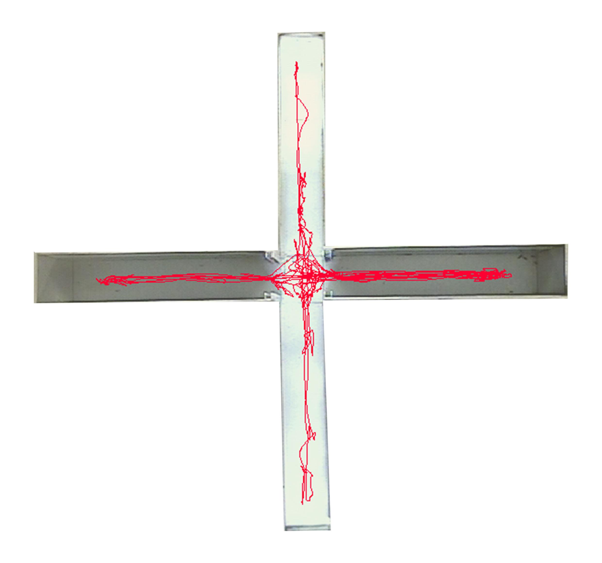 高架十字迷宫 Elevated plus-maze（EPM）