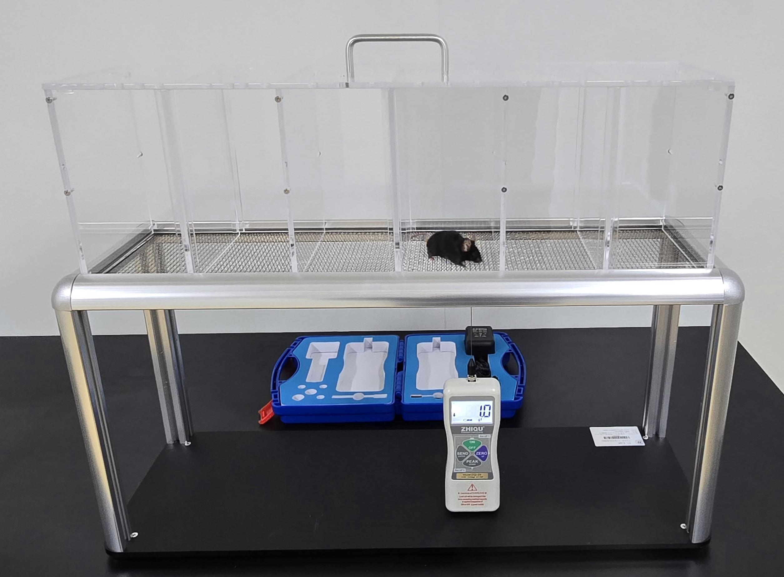 大小鼠足底机械刺痛实验