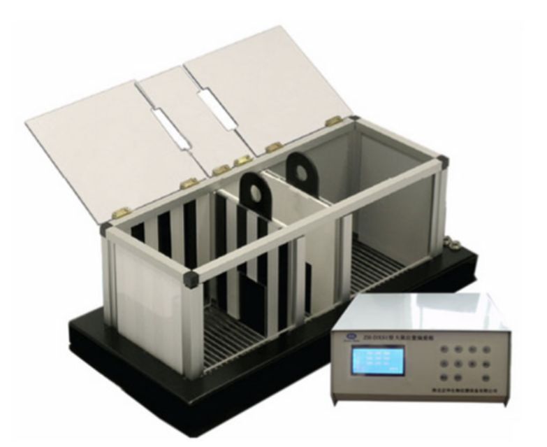 CPP实验（条件性位置偏爱实验)